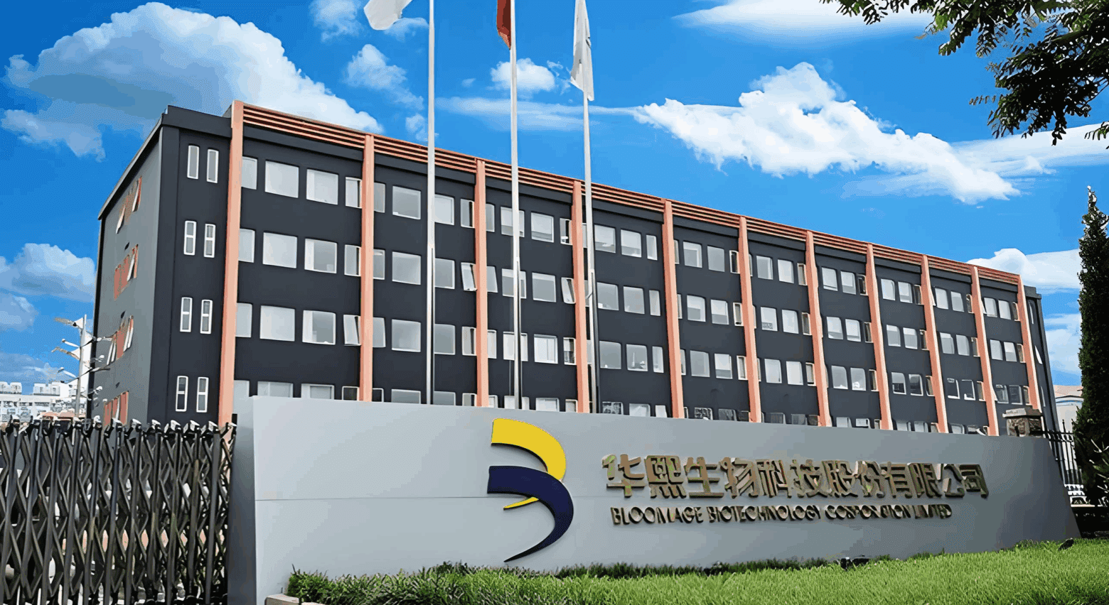 jj12.eed2cd87.png jj12.eed2cd87.png